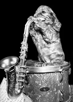 Percussion: Susi - with drum and saxophone
