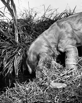 Exploring: Susi - exploring in the garden
