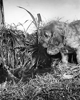 Exploring: Susi - exploring in the garden