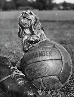 Boot: Susi - with football and boot