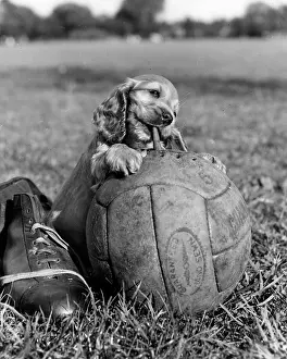 Boot: Susi - with football and boot