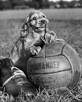 Boot: Susi - with football and boot