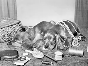 Thread: Susi and friend with knitting