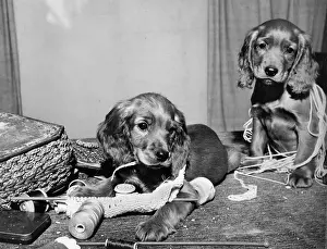 Thread: Susi and friend with knitting and sewing things