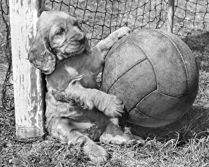 Suzy: Susi - as goalkeeper