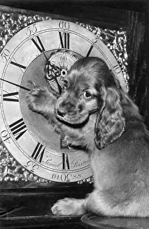Clocks: Susi - with grandfather clock