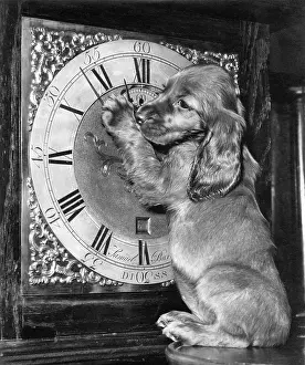 Clocks: Susi - with grandfather clock