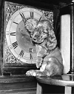 Clocks: Susi - with grandfather clock