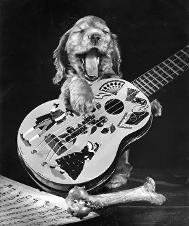 Susi: Susi - with guitar and bone