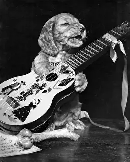 Susi: Susi - with guitar and bone