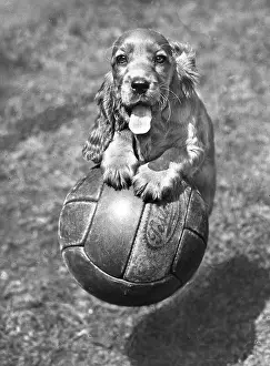 Suzy: Susi - having fun with a football