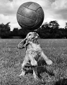 Heading: Susi - having fun with a football