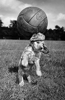 Heading: Susi - having fun with a football