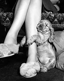 Fluffy: Susi - hugging Mum's leg