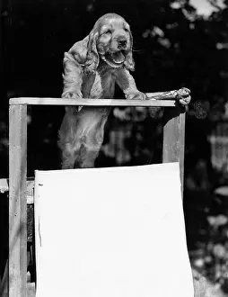 Susi - at the hustings