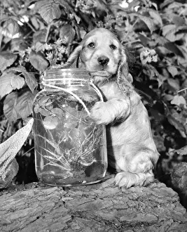 String: Susi - with a jar of pond water