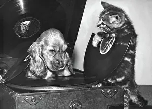Turntable: Susi - with kitten and broken record