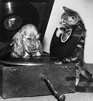 Turntable: Susi - with kitten and broken record
