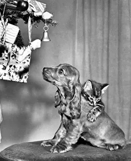 Decorations: Susi - with kitten at Christmas