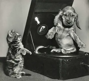 Turntable: Susi - with kitten and record player