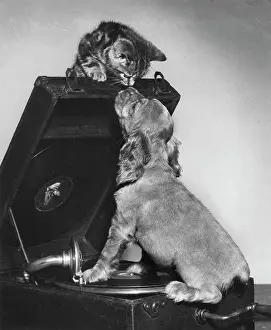 Turntable: Susi - with kitten and record player