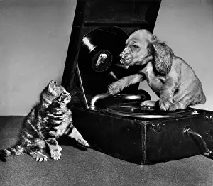Turntable: Susi - with kitten and record player