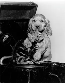 Turntable: Susi - with kitten and record player