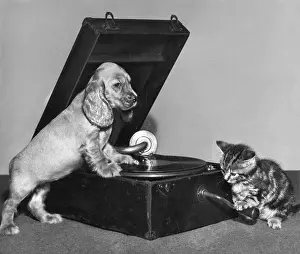 Turntable: Susi - with kitten and record player