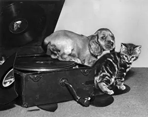Turntable: Susi - with kitten and record player