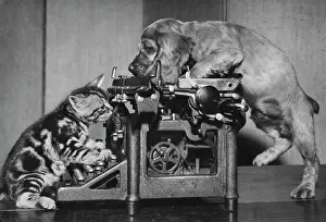 Typewriter: Susi - with kitten and typewriter