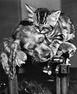 Typewriter: Susi - with kitten on top of typewriter