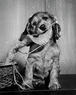 Unravel: Susi - with knitting
