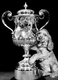 Handles: Susi - with a large trophy