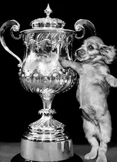 Handles: Susi - with a large trophy