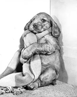 Woollen: Susi - in a long scarf