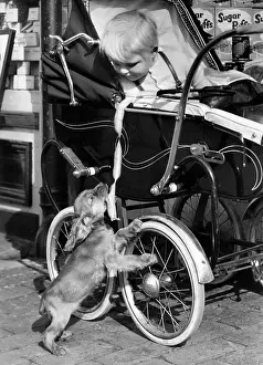 Toddlers: Susi - looking up at a baby in a pram