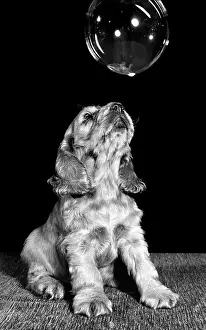 Bubble: Susi - looking at a big bubble