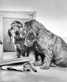 Mirrors: Susi - looking in the mirror
