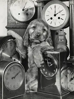 Measurement: Susi - with a lot of clocks