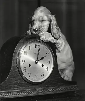 Clocks: Susi - with a mantel clock