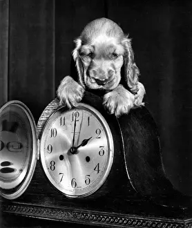 Clocks: Susi - with a mantel clock