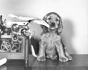 Typewriter: Susi - with manual typewriter
