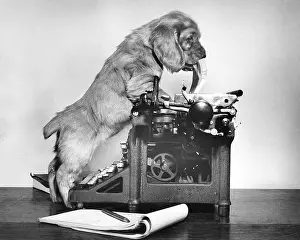Typewriter: Susi - with manual typewriter