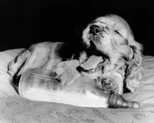 Yawn: Susi - with milk bottle