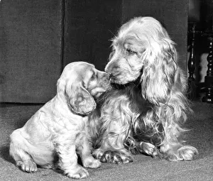 Offspring: Susi - with her mother