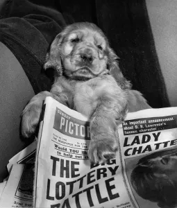 Notorious: Susi - with newspaper