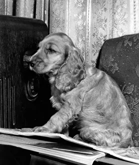 Knob: Susi - with old radio