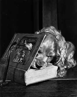 Pages: Susi - opening a book