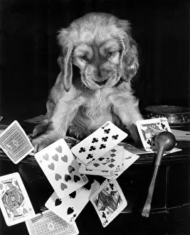Scattering: Susi - with pipe and playing cards