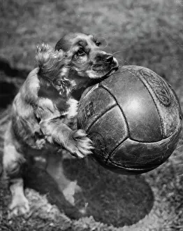 Balls: Susi - posing with a football